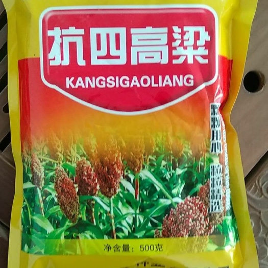 青县抗四高粱种 杂交种 ≥90%
