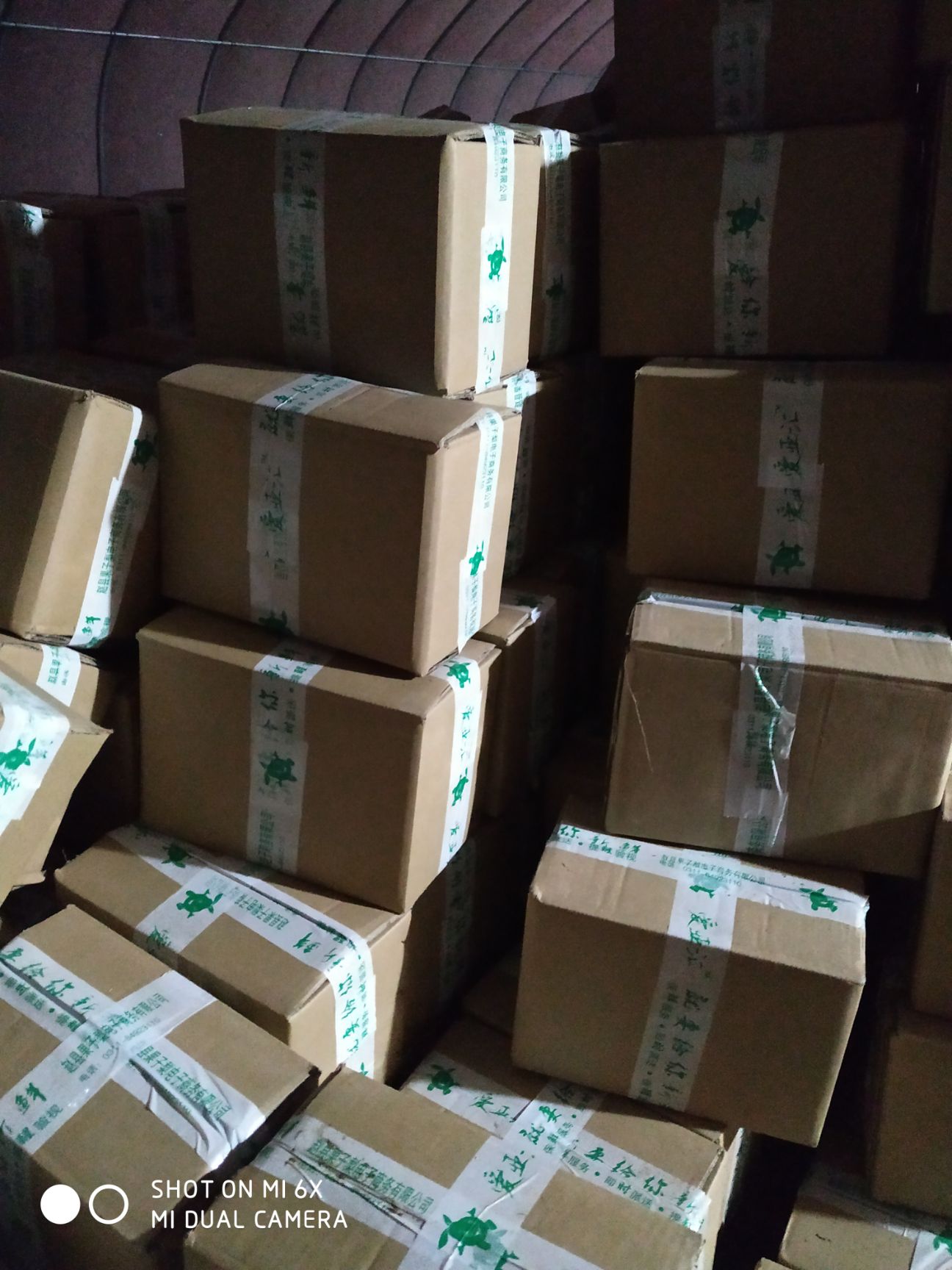 烟薯 山东省德州市夏津县 6两~1斤 红皮