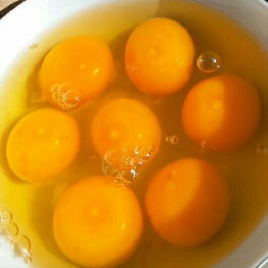 宁县土鸡蛋 食用 箱装 