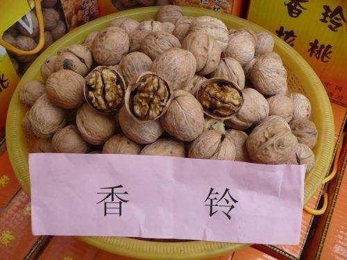 泰安香玲核桃苗 
