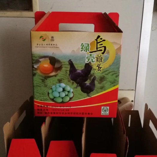 衡南县乌鸡蛋  绿壳蛋  商品蛋  土鸡蛋
