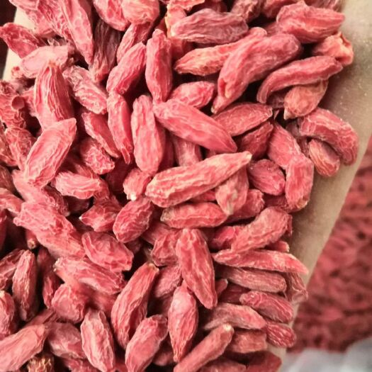 中宁县红枸杞 特级
