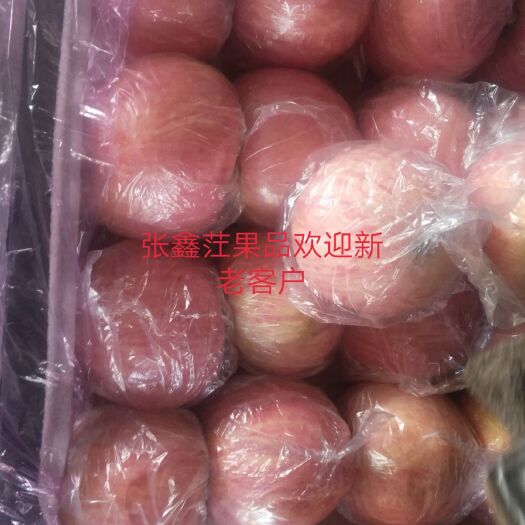 临猗县红富士苹果 80mm以上 条红 纸+膜袋 