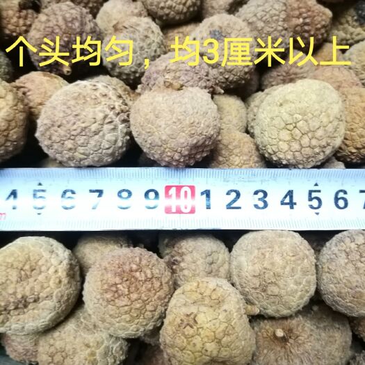 南宁荔枝干