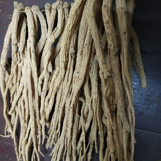 陇西县白条党参 