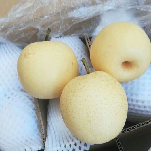辛集市皇冠梨 90mm以上 300-350g