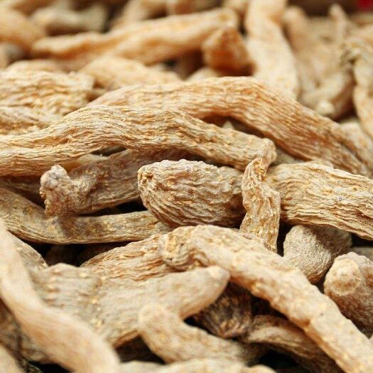 略阳县天麻 