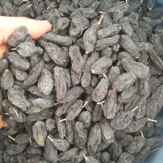 鄯善县黑加仑 乌兹别克斯坦特级
