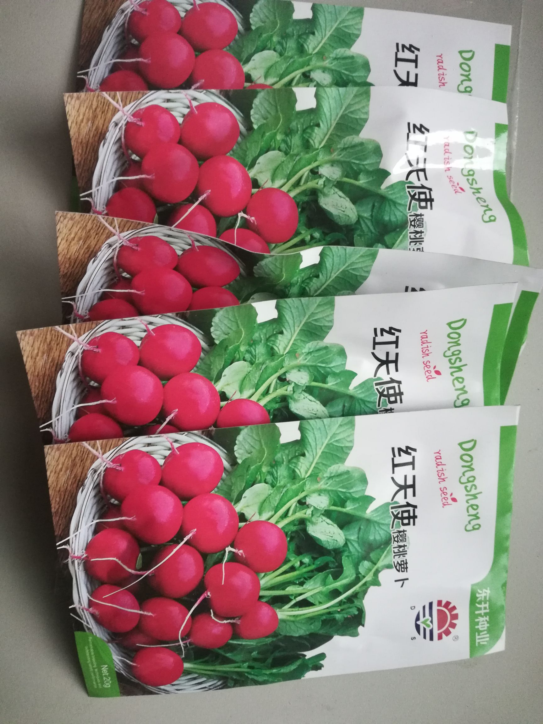 水果萝卜种子  良种 樱桃萝卜种子