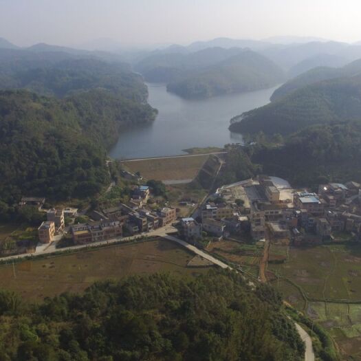 玉林山地  合作 30~50年 3000~5000亩 