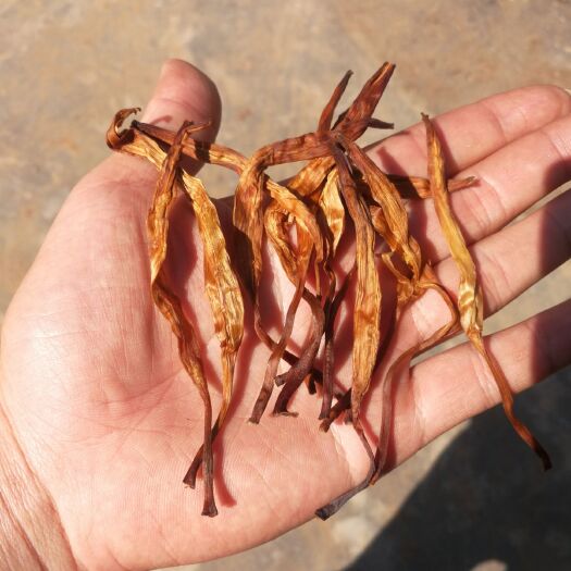 祁东县祁东黄花菜 一级 袋装 