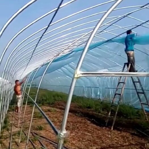 沭阳县大棚钢管 蔬菜棚瓜果棚花卉大棚草莓西瓜双层暖棚