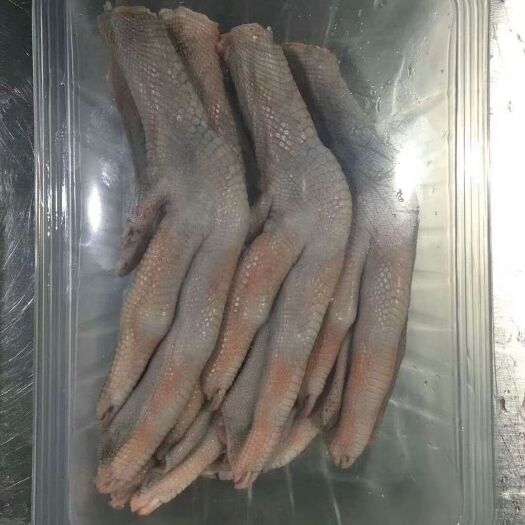 肇庆鹅掌