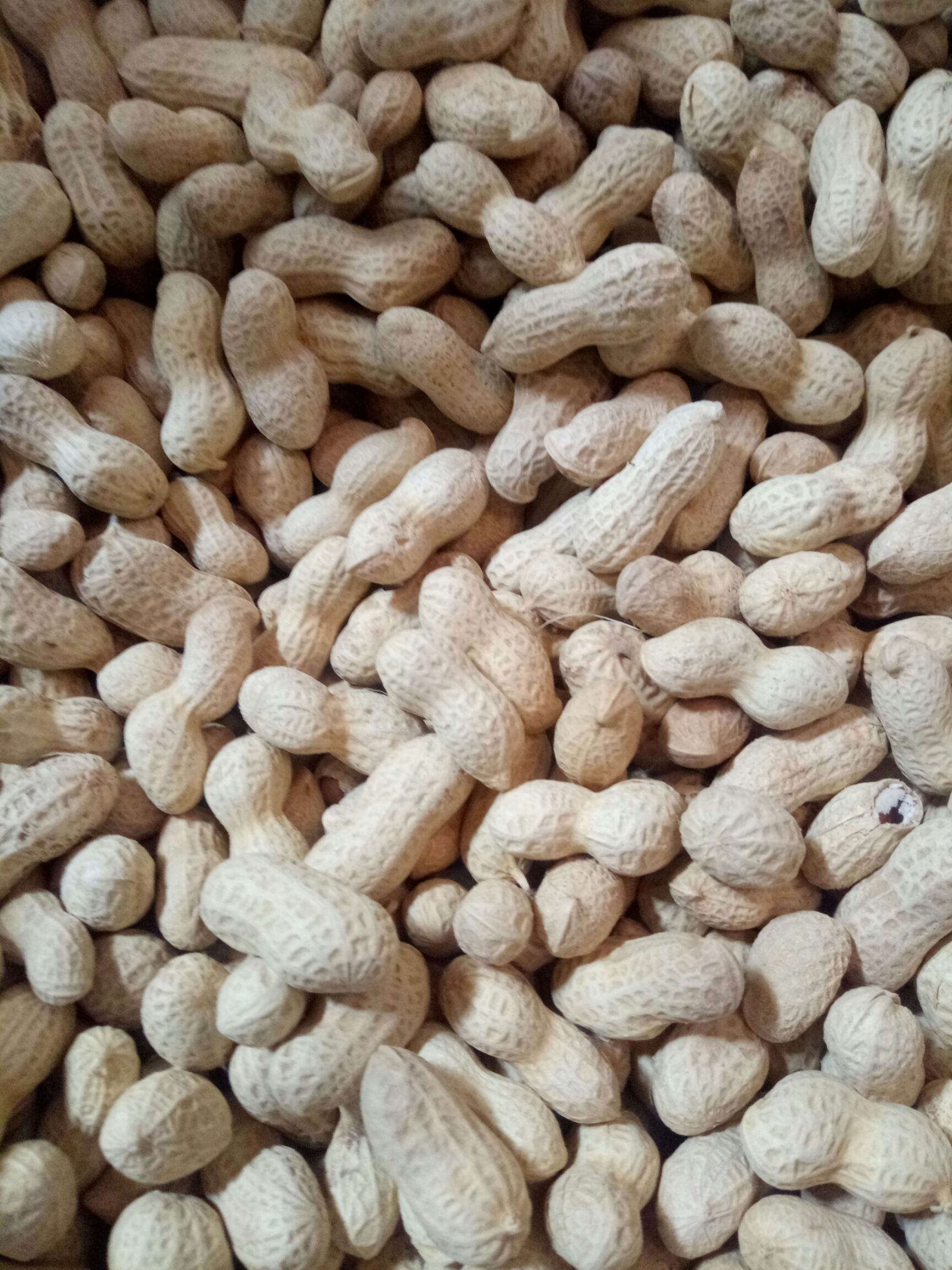  天府三原味炒花生(包邮)10斤起售