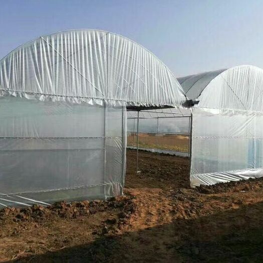 沭阳县大棚钢管 蔬菜棚花卉棚草莓棚育苗棚西瓜棚连体棚
