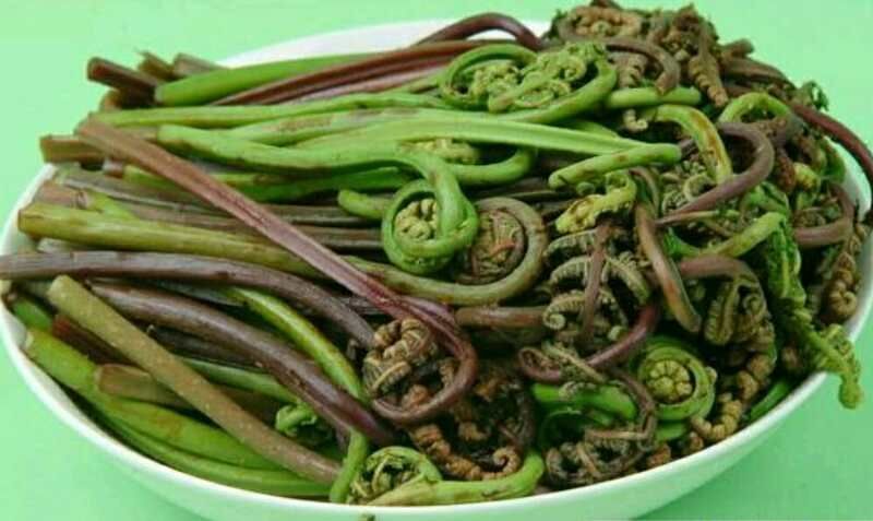 抚松县薇菜干  长白山纯野生山野菜微菜《猴腿菜》