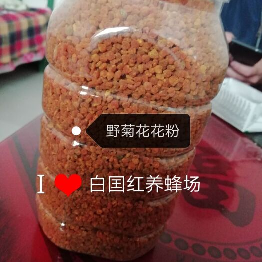 阳城县野菊花花粉 塑料瓶装 2年  