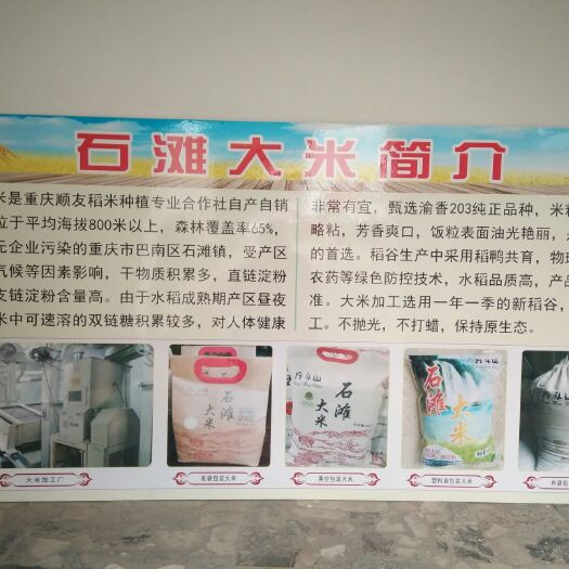 重庆市宜香优2115大米 一等品 中稻 粳米 