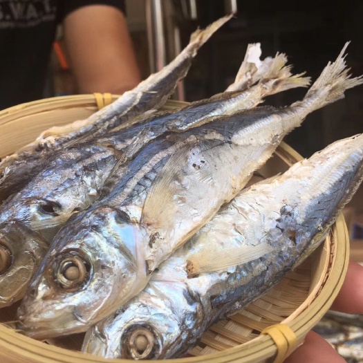 漳浦县巴浪鱼干  漳浦六鳌巴浪鱼干