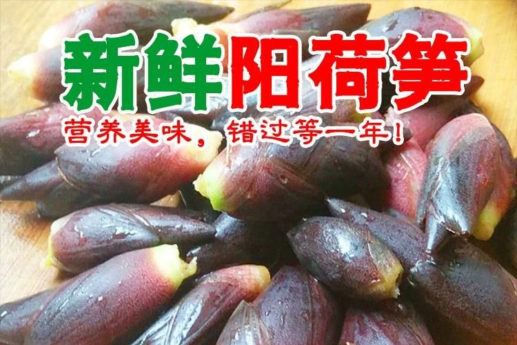 房县阳荷  新鲜洋火姜洋荷茗荷襄荷云贵川湖北特产可一件代发