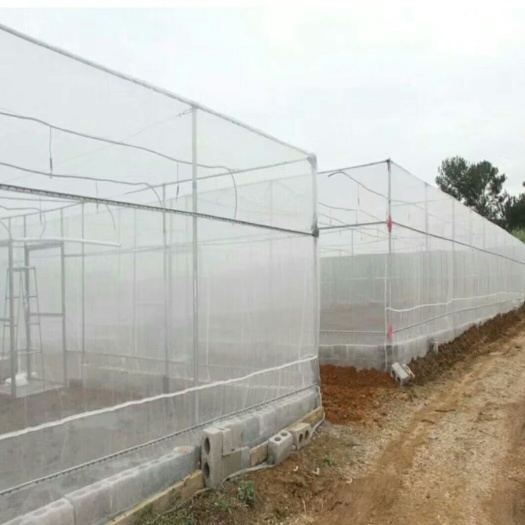 温岭市防虫网 