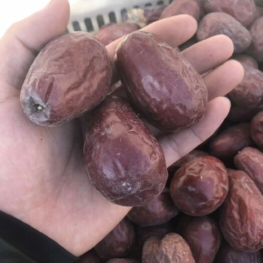 献县骏枣 特级 