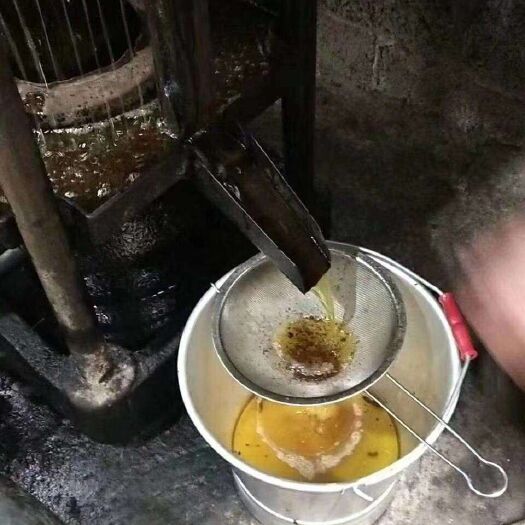 河池野生山茶油