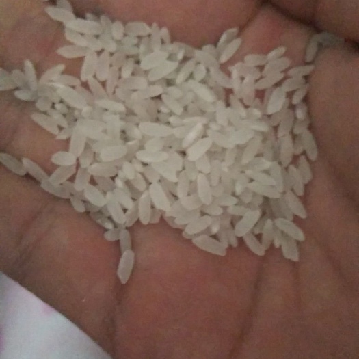 宁安市石板大米 一等品 一季稻 粳米 响水大米 一等品 一季稻 粳米 