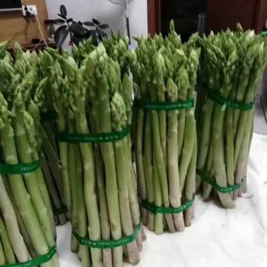 渭南綠蘆筍 20~30cm