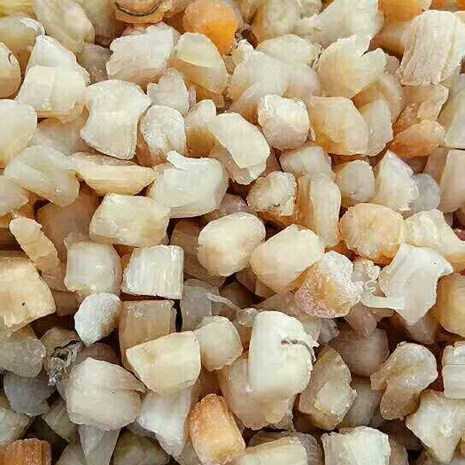 滨州白贝 