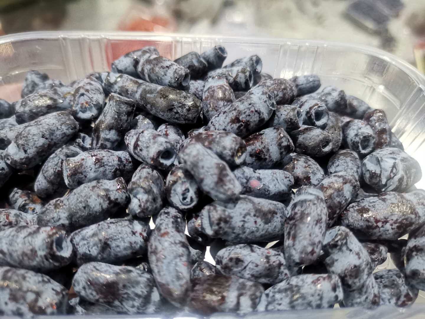 蓓蕾 1g以下 