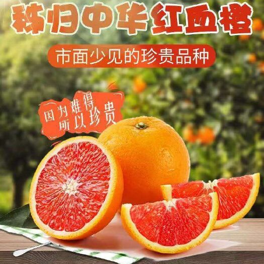 秭归县红肉脐橙 70-75mm 4两以下 