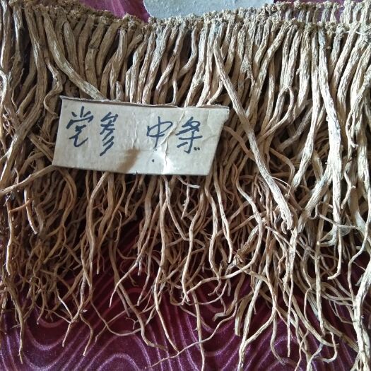 渭源县白条党参