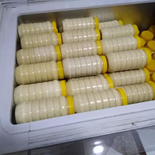 湘潭土蜂蜜  自产自销中蜂场，确保源头放心。