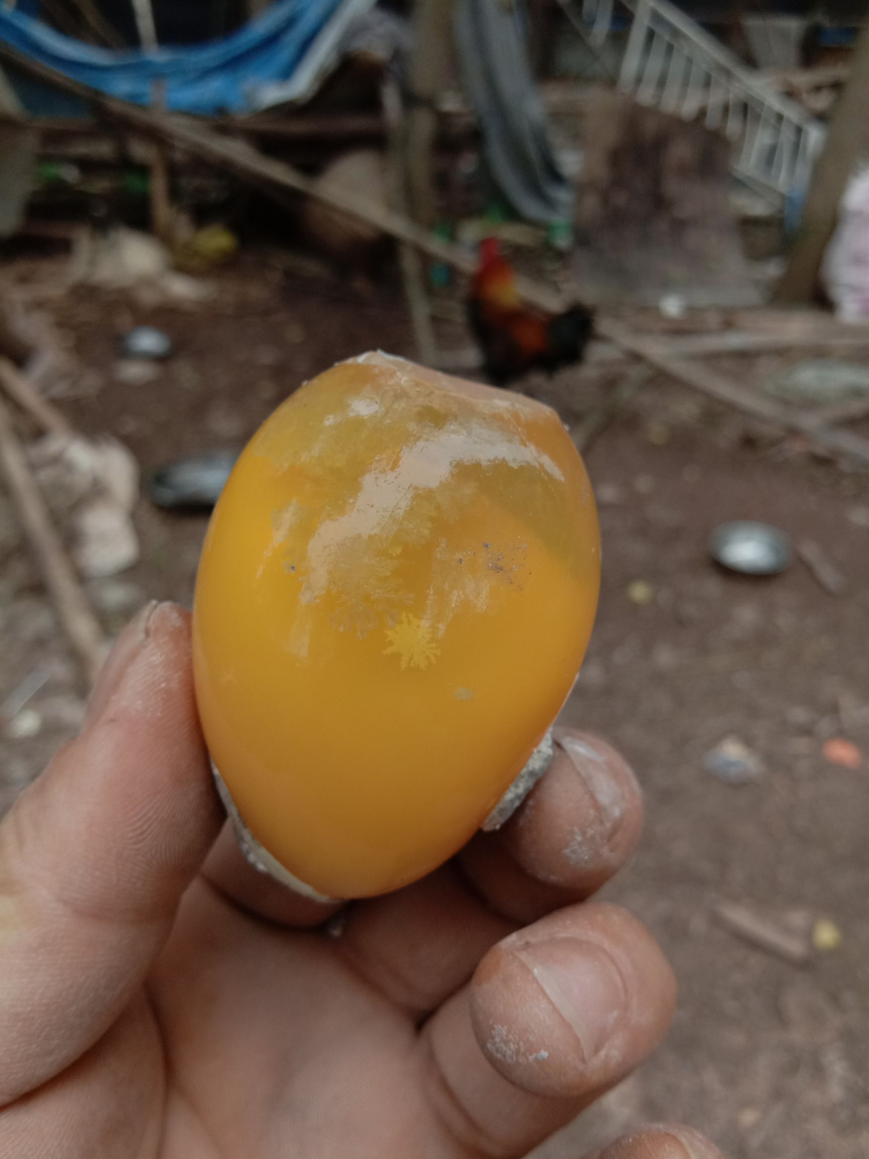 金定鸭蛋 食用 散装