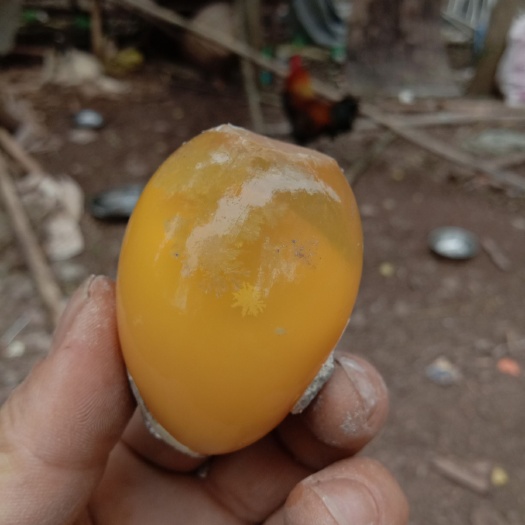 资阳金定鸭蛋 食用 散装