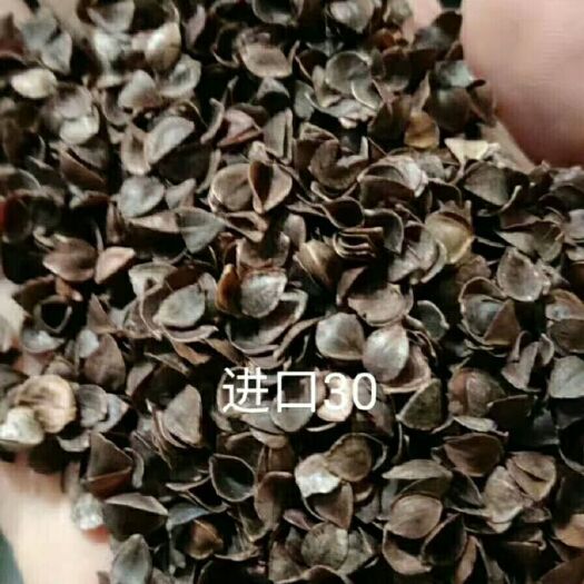 保定荞麦壳 