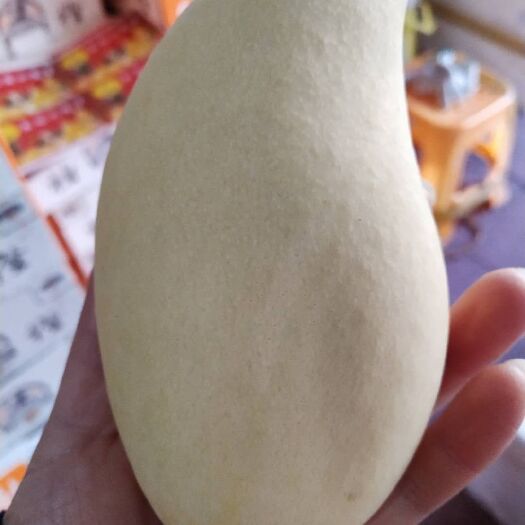 昆明水仙芒果 5两以上 
