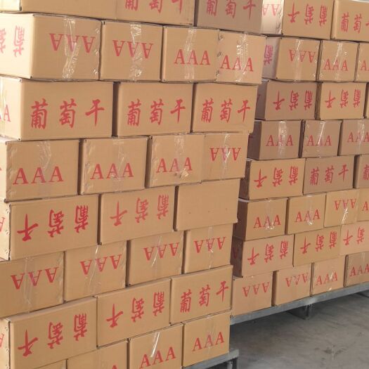 尉犁县夏黑葡萄干 统货