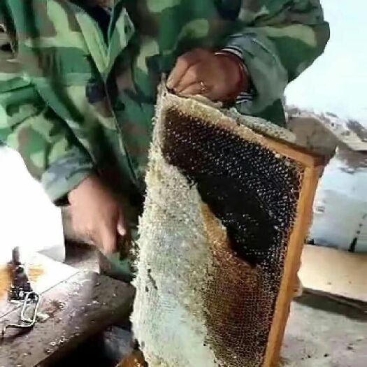 绥芬河市椴树蜜 塑料瓶装 2年  