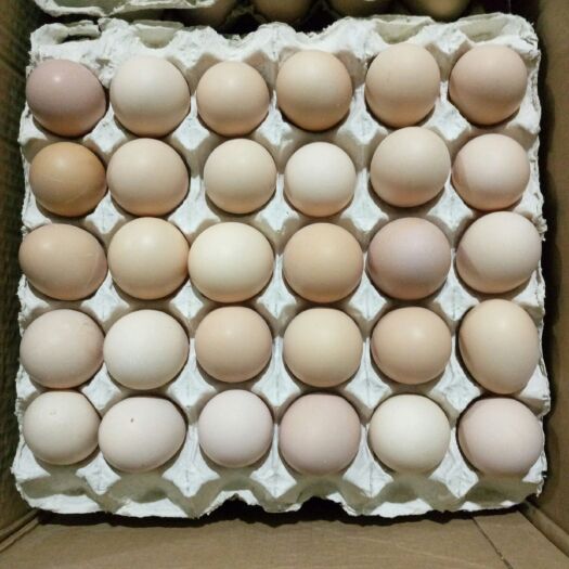 固始县粉蛋 食用 箱装 