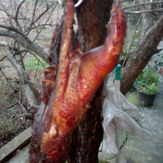 重庆市农家自制腊火腿 袋装 
