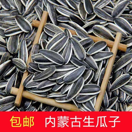 呼和浩特葵瓜子 生葵花籽