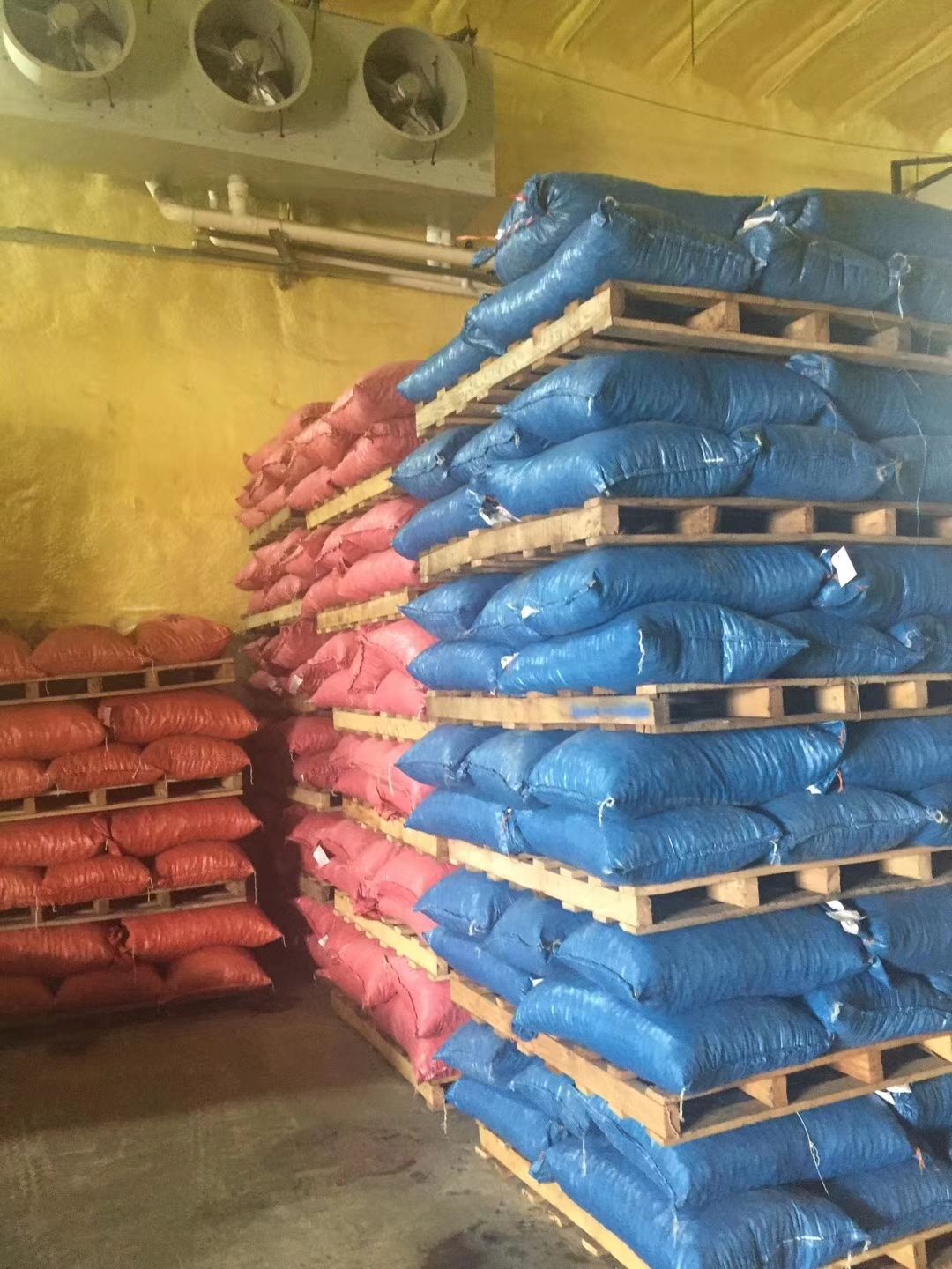 迁西板栗炒货店专用3113大标55粒左右