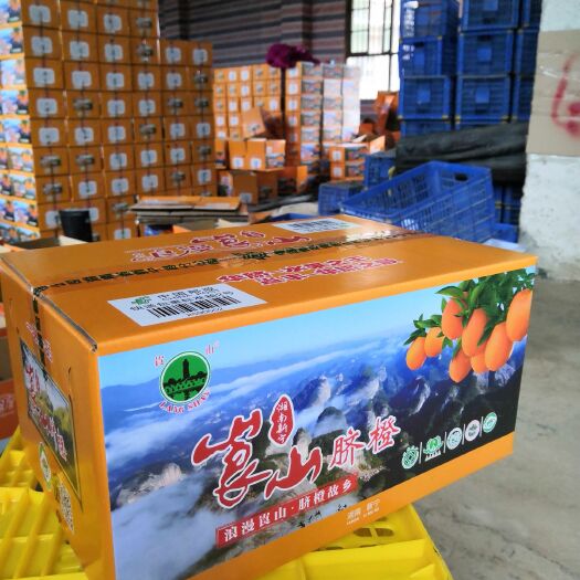 新宁县纽荷尔脐橙 70-75mm 4-8两 