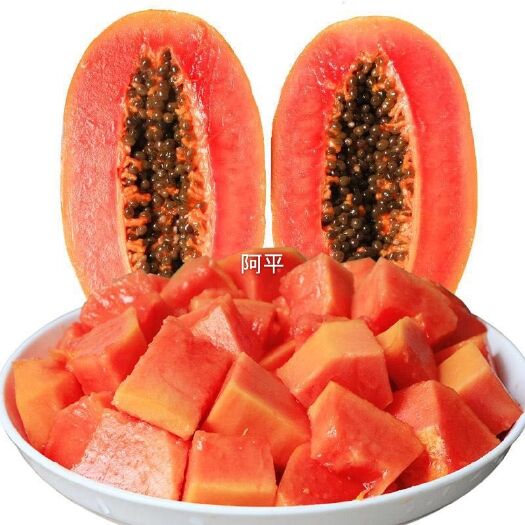 灵山县红心木瓜苗