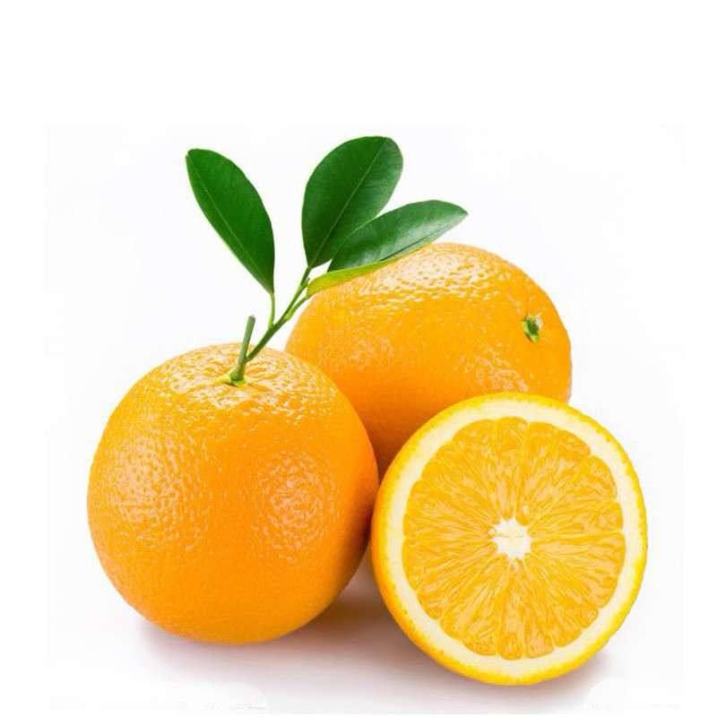 云南冰糖橙哀牢山产地5斤农户种植应季水果新鲜现摘包邮一件代发