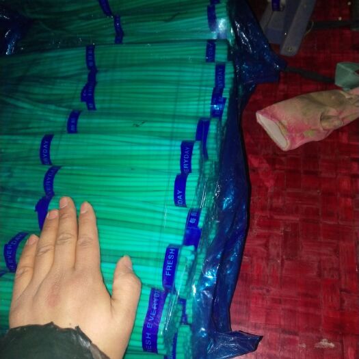 莘县邳州蒜苔 30cm以下 