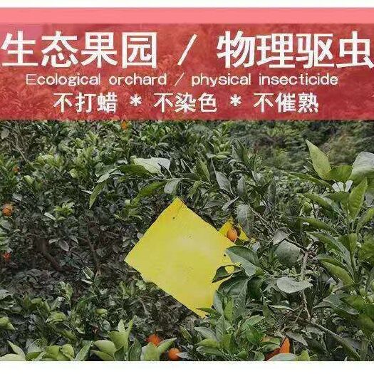 秭归县纽荷尔脐橙 70-75mm 4-8两 