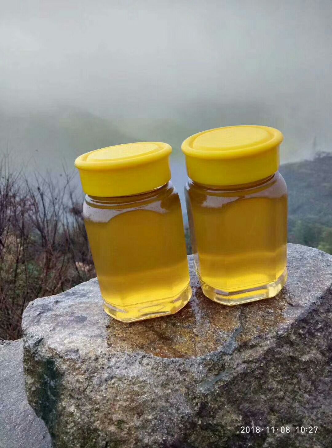 岷县黄芪蜂蜜 塑料瓶装 2年以上 95%以上 